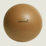 Dvd Back Pain Training Video Lower Solved Yamuna Gold Or Silver Ball Pump New. Price: $50.00.