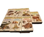 See How They Grow Sony Wonders Vhs Lot Of 7 Educational Set Farm Animals *read Good. Price: $79.99.